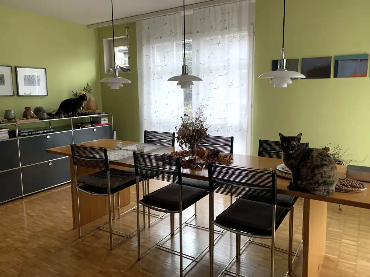 Farbgestaltung in einem Wohnhaus: Das Esszimmer mit honigbraunem Parkett, einem schmalen, länglichen Nussbaum-Esstisch mit schlichten Alias-Design-Stühlen (Spaghetti-Stühle in Schwarz und Chromstahl). Die Wände sind in Frühlingsgrün gehalten mit kleinen abstrakten Bildern.