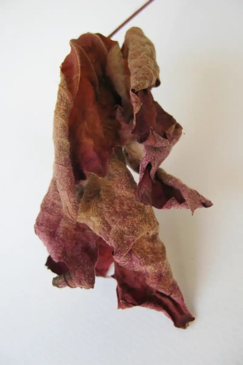 Treppenhaus im Mittelgeschoss des Einfamilienhauses aus den 50er-Jahren. Links Akzentwand in Rot, die vom Eingang bis ins Obergeschoss leitet, übrige Wände in abgetöntem Weiss. Treppentritte in hellbeigen Steinplatten, schwarze Metallbrüstung. An der rechten Wand ein längliches Holzregal auf mittlerer Höhe. Weiter oben ein schmaler, waagrechter Wanddurchbruch mit Sicht ins Wohnzimmer. Rechts schmaler Blick in den Livingbereich. Verschiedene Skulpturen und Dekorelemente.