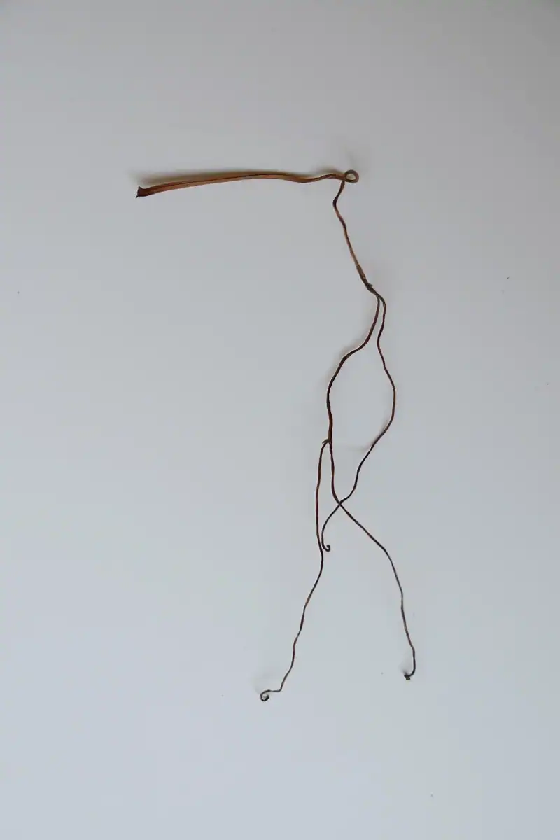 Detail der Treppenhausgestaltung im Einfamilienhaus aus den 50er-Jahren. Schräge Sicht nach oben ins Obergeschoss. Links Akzentwand in Rot, die vom Eingang bis ins Obergeschoss leitet, übrige Wände in abgetöntem Weiss. Treppentritte in hellbeigen Steinplatten, Betonunterteil in abgetöntem Weiss, schwarze Metallbrüstung. An der Rückwand ein quadratisches Bild mit kreisförmigem Motiv in Weiss, Orange und Blau auf tiefdunklem rotviolettem Hintergrund. Klare, reduzierte Architektursprache, die aus den Kontrasten lebt.