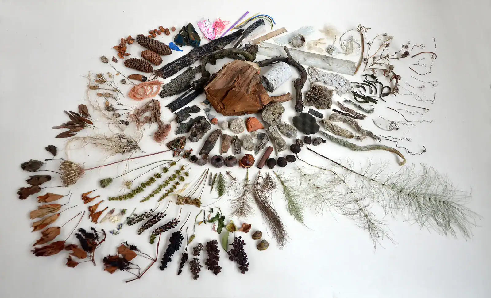 Schlafzimmer Gestaltung. Bemusterung mit Musterplatten in Originalfarbe und -material: Tapete mit floralem Muster in hellschimmerndem Grau vor tiefengrauem Hintergrund, Daneben Musterplatten der Wandfarben in tuchmattem, dunklem, rauchigem Blaugrau und hellem, warmen Muschelkal, sowie Farbakzent in Herbstgold. Leiste des dunkelbraunen Parketts.